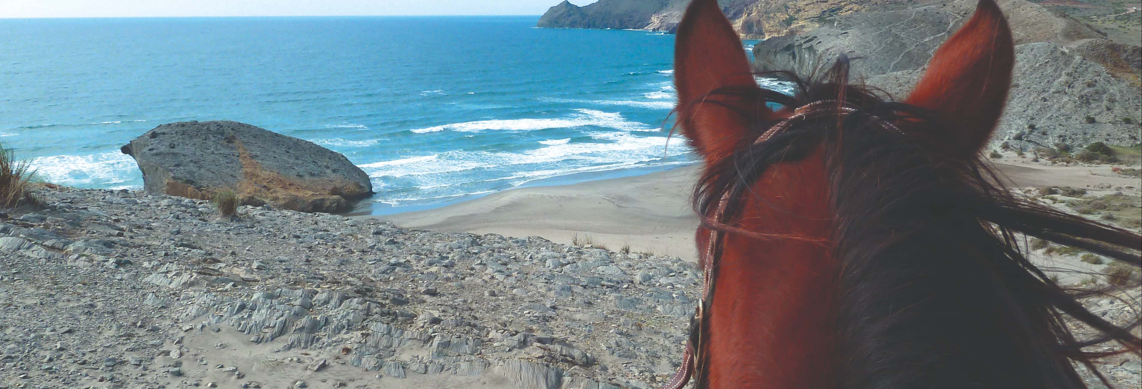 Horseback Ride to Genoveses in Cabo de Gata