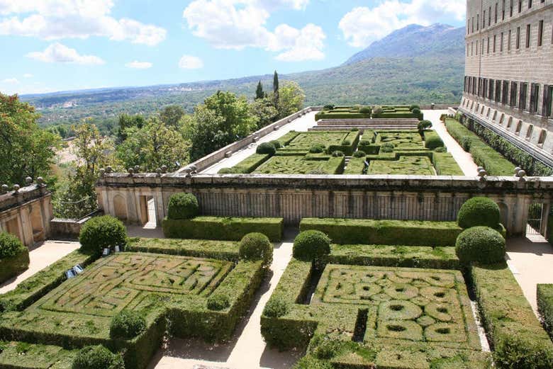 Imagen 6