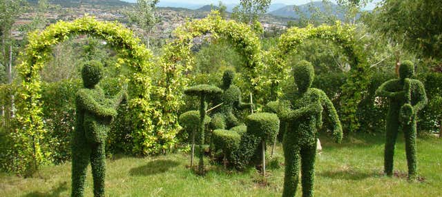 Biglietti per El Bosque Encantado