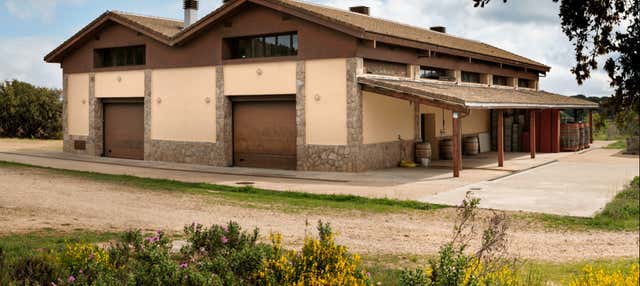 Visita alla cantina Las Moradas de San Martín