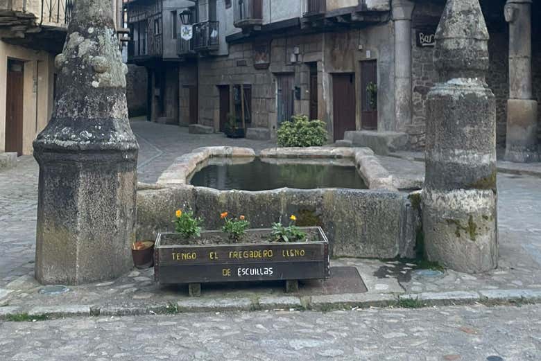 Imagen 6