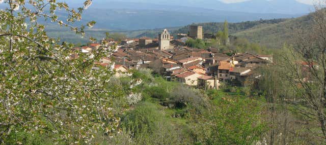 Visita guidata di San Martín del Castañar