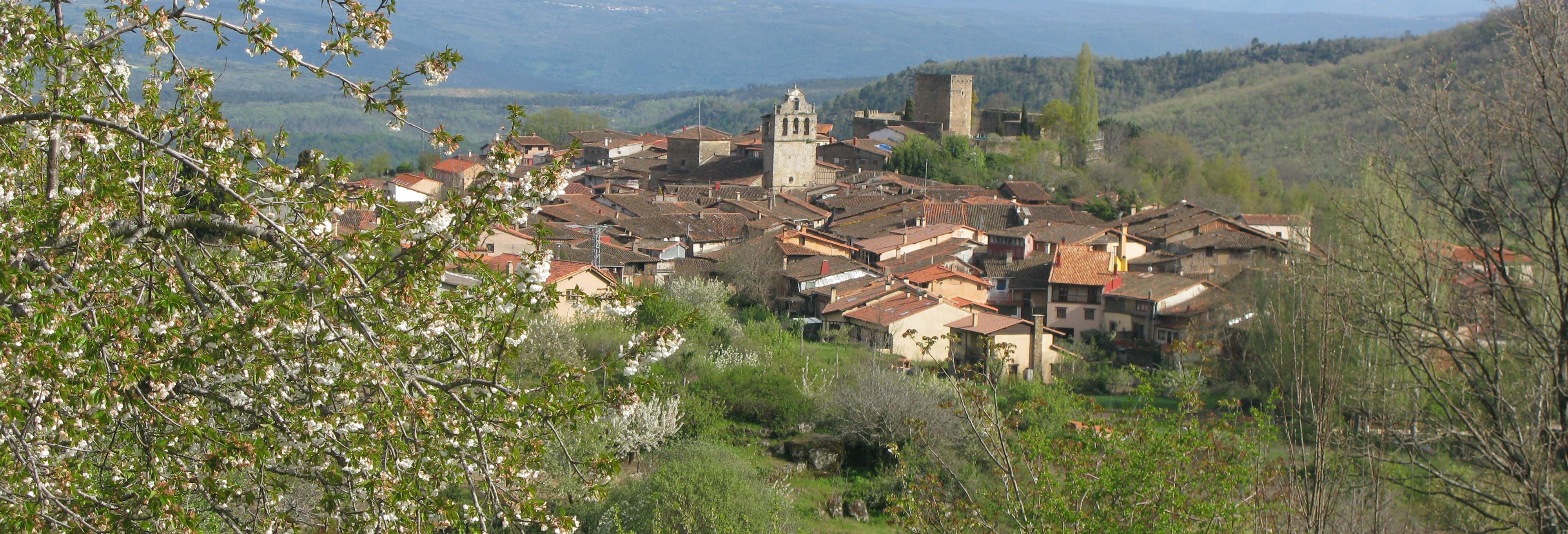 Visita guidata di San Martín del Castañar
