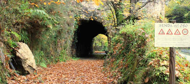 Tour della Senda del Oso in bici