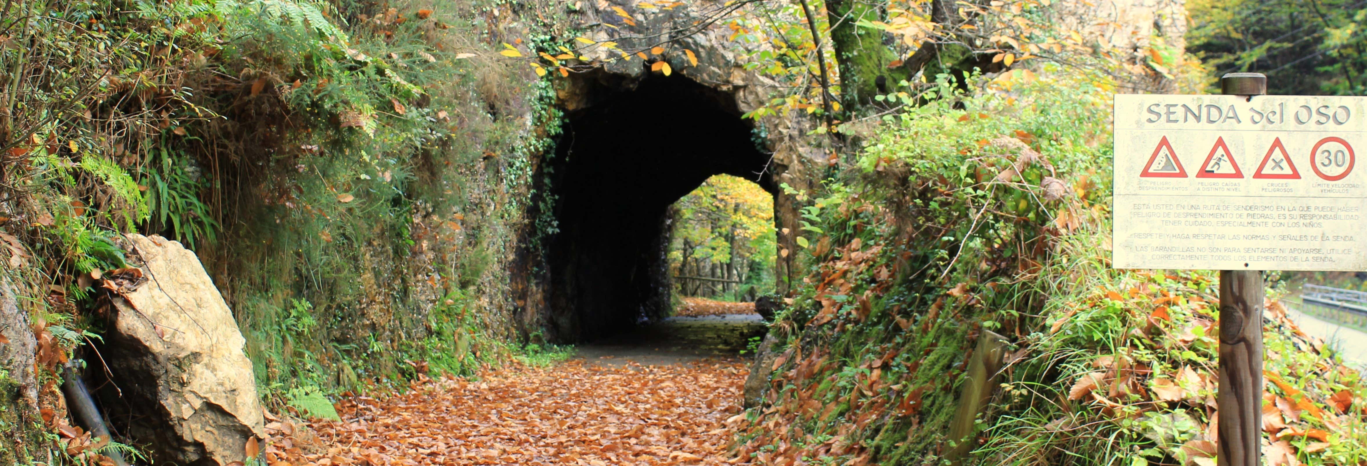 Senda del Oso Bike Route