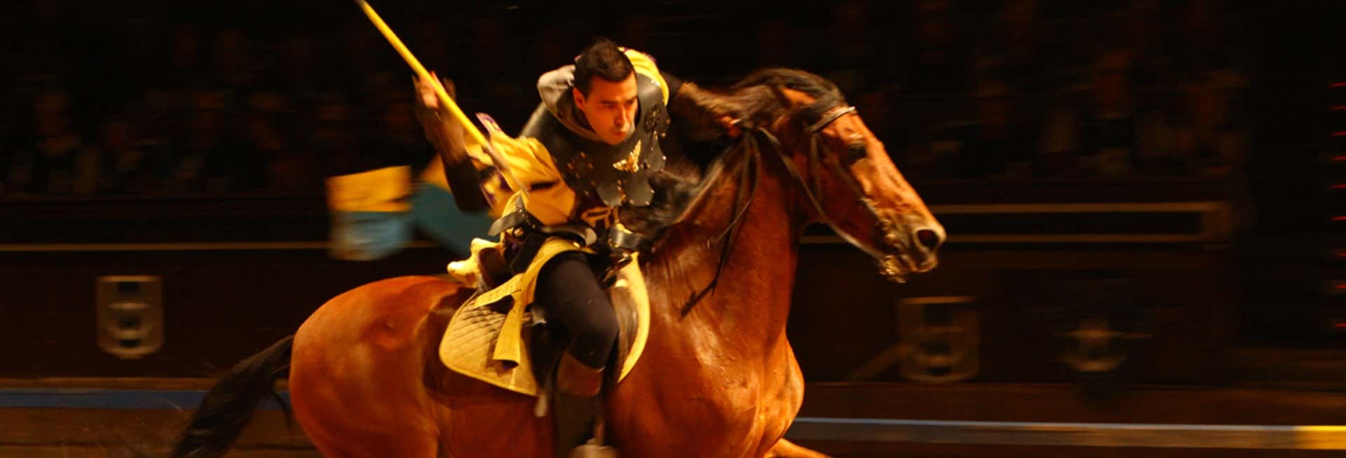 Castillo de San Miguel Medieval Show & Dinner