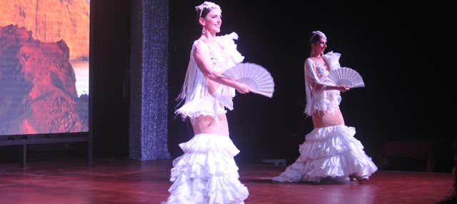 Spettacolo di flamenco a Castillo de San Miguel