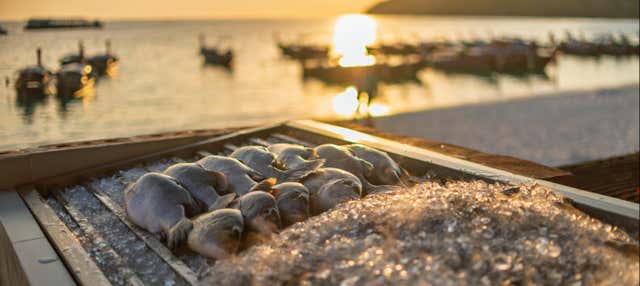 Pesca en el Mar Menor