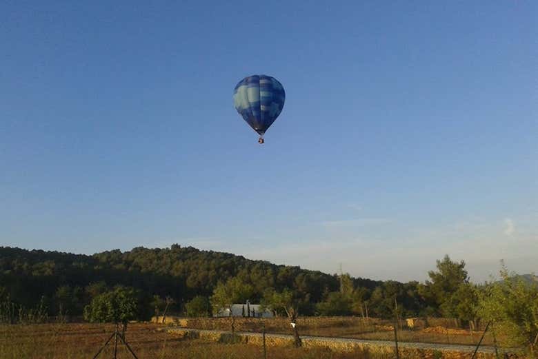 Imagen 7