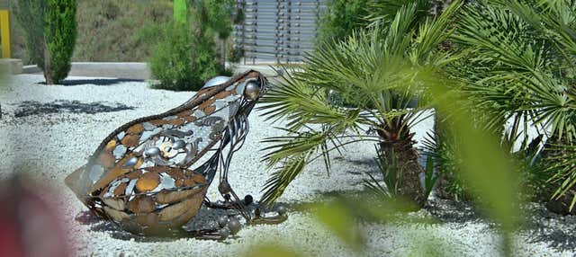 Visita guidata al BIBO PARK Ibiza Botánico Biotecnologico