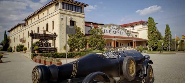 Visita alla cantina Freixenet
