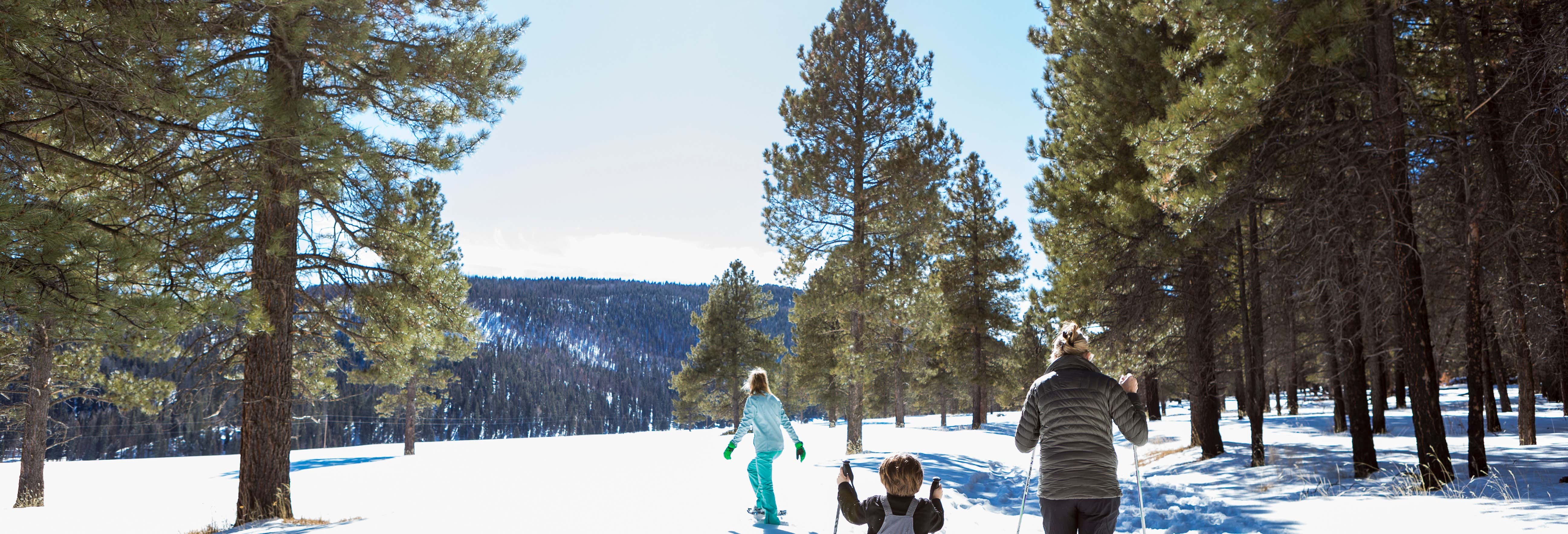 Somiedo Natural Park Snowshoe Hike