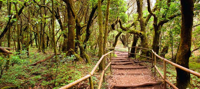 Trekking al Parco Nazionale di Garajonay