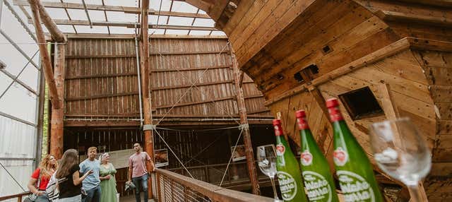 Escursione a Albaola + Visita a una sidreria basca