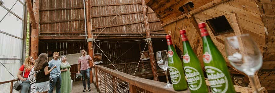 Escursione a Albaola + Visita a una sidreria basca