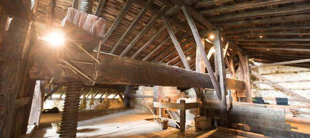 Escursione a un casale basco + Sidreria basca