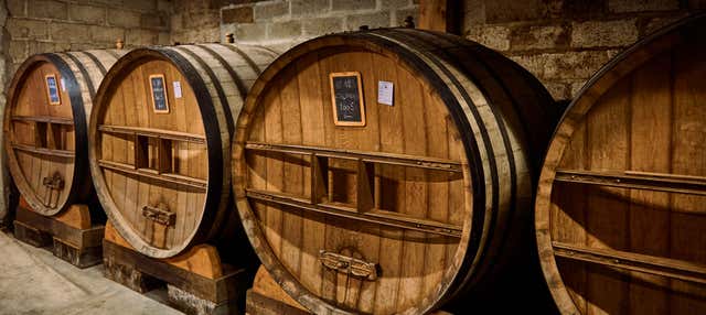 Escursione ad una sidreria basca