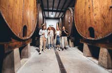 Traditional Basque Cider House Day Trip