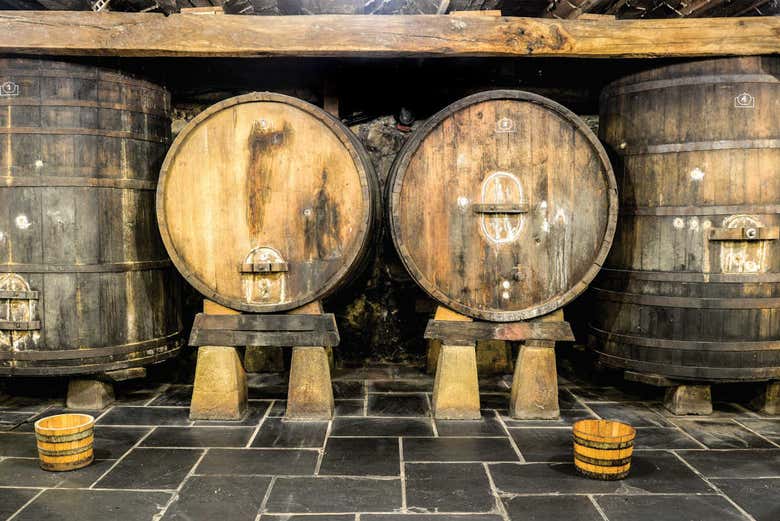Traditional Basque Cider House Day Trip