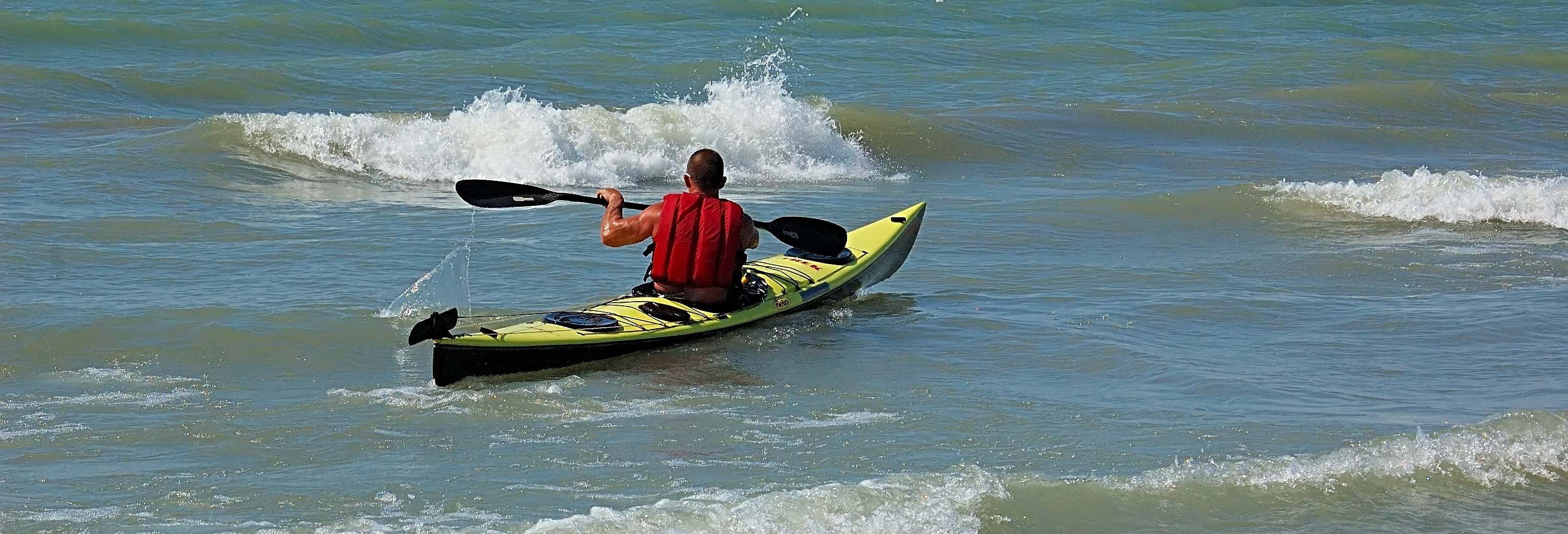 Tour delle paludi di Sancti Petri in kayak