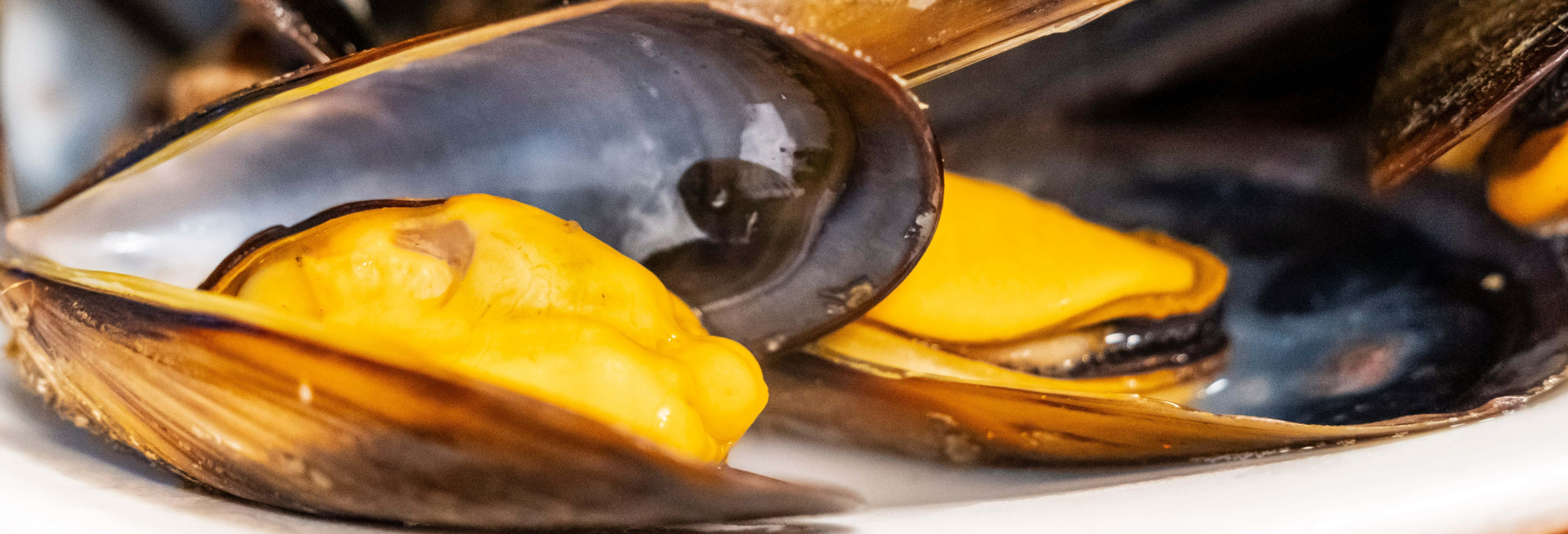 Paseo en barco por la ría + Degustación de mejillones