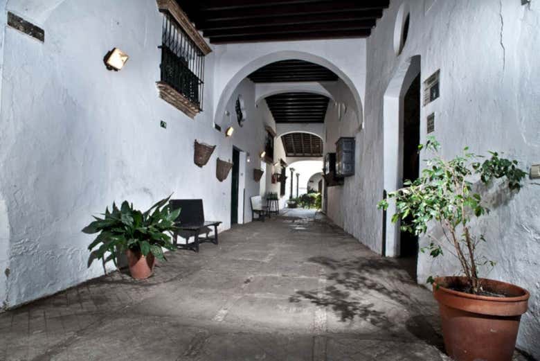Imagen 5