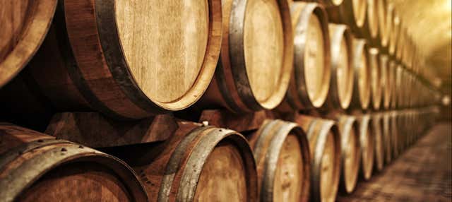 Visita guidata alle cantine Barbadillo