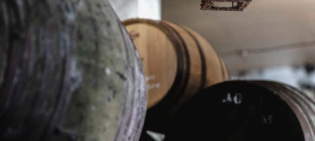 Visita a las Bodegas Barón