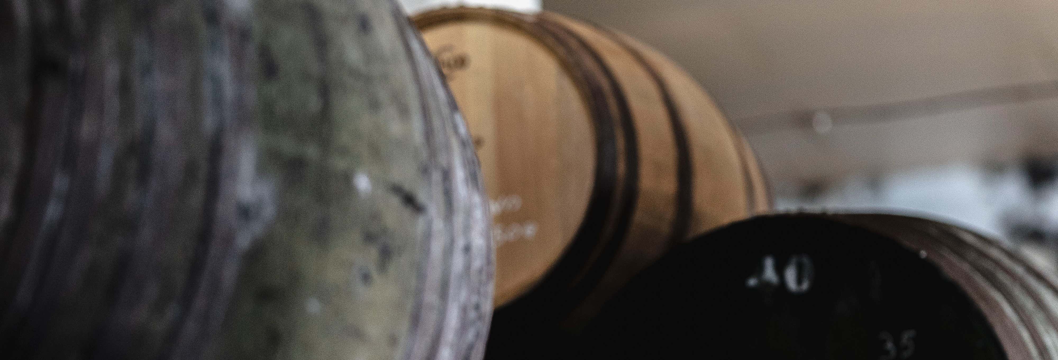 Visita a las Bodegas Barón