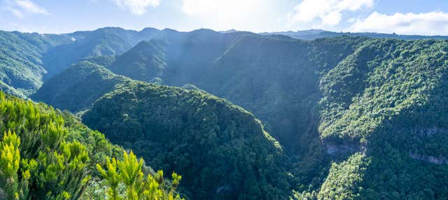 Trekking nel Bosque Encantado del Cubo de la Galga