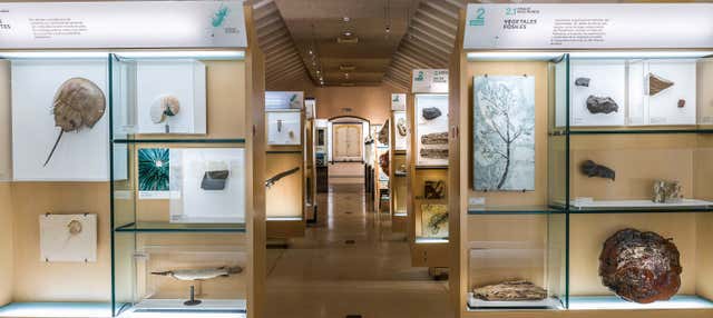 Biglietto per il MUNA + Audioguida nel Parco Nazionale del Teide