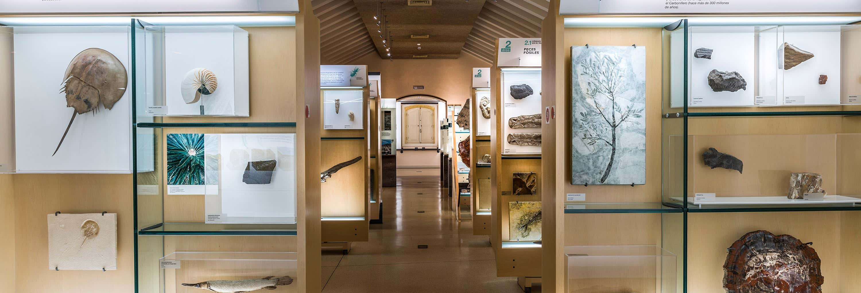 Biglietto per il MUNA + Audioguida nel Parco Nazionale del Teide