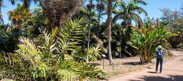 Biglietti del Palmetum