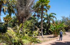 Ingresso do Palmetum