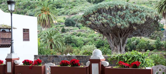 Escursione privata a Tenerife in italiano