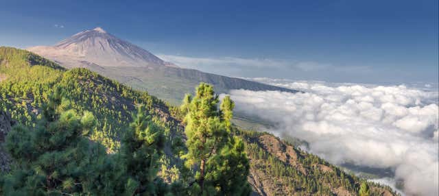 Excursión al Teide y La Orotava para cruceros