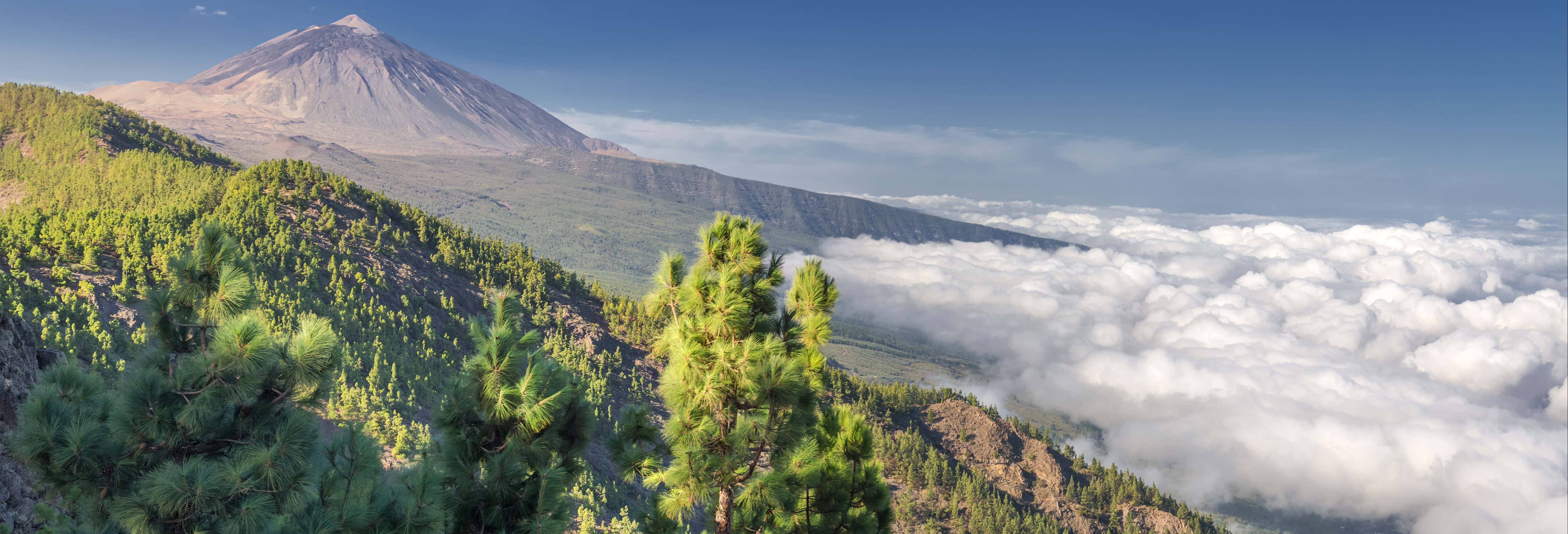 Excursión al Teide y La Orotava para cruceros