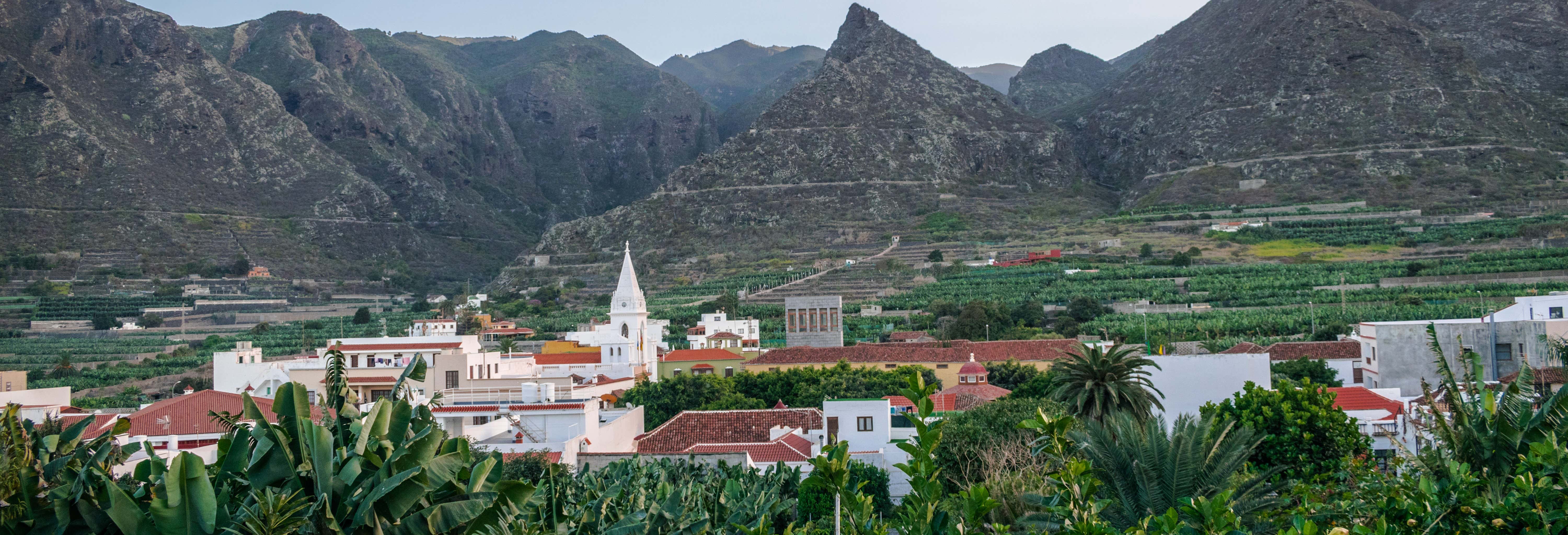 Northern Tenerife Tour