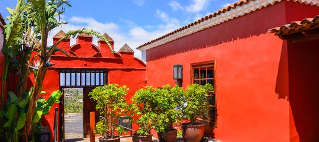 Tour del vino nel nord di Tenerife