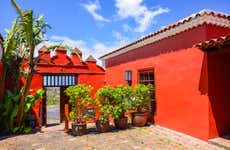 Tour do vinho pelo norte de Tenerife