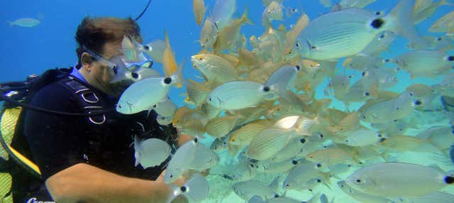 Immersione per principianti a Maiorca