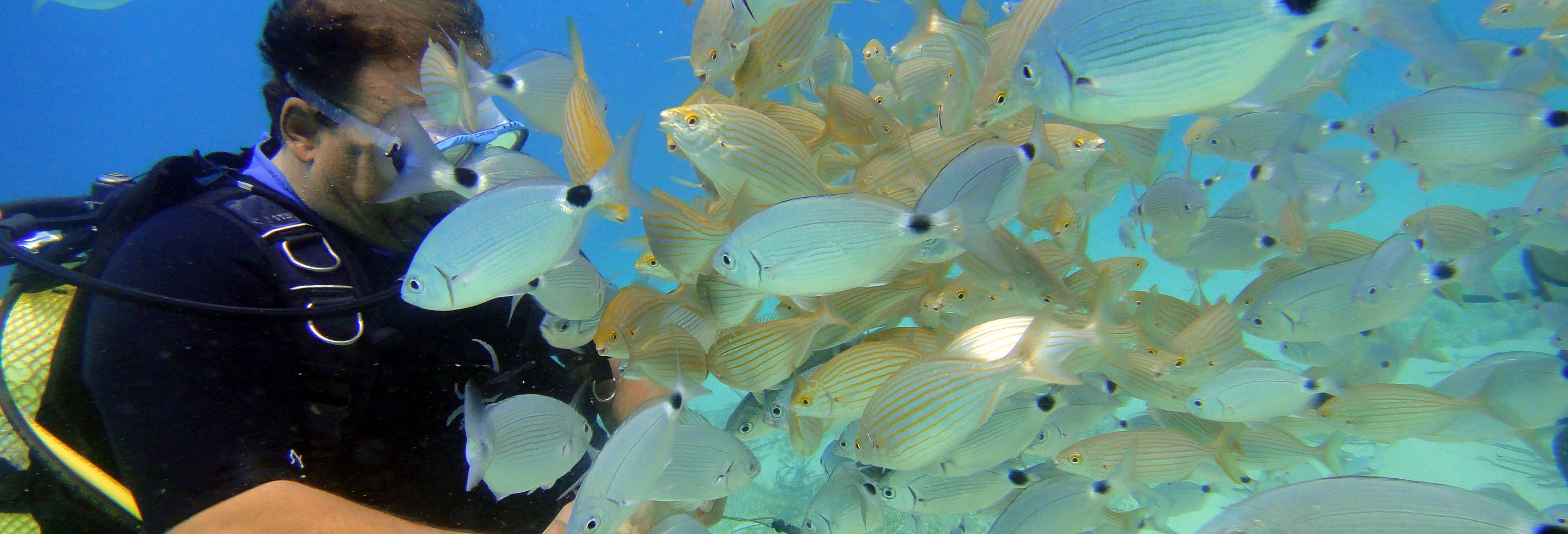 Mallorca Beginner's Diving Lesson