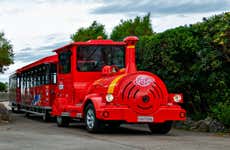 Ônibus turístico de Santander + Trem turístico da Magdalena