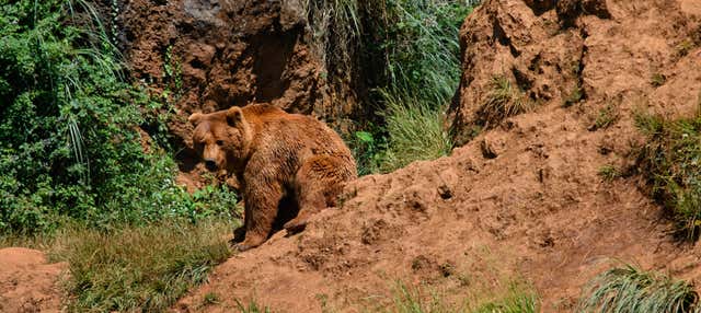 Escursione al Parco di Cabárceno