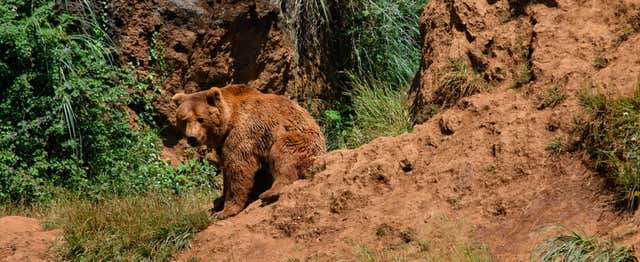 Excursión a Cabárceno
