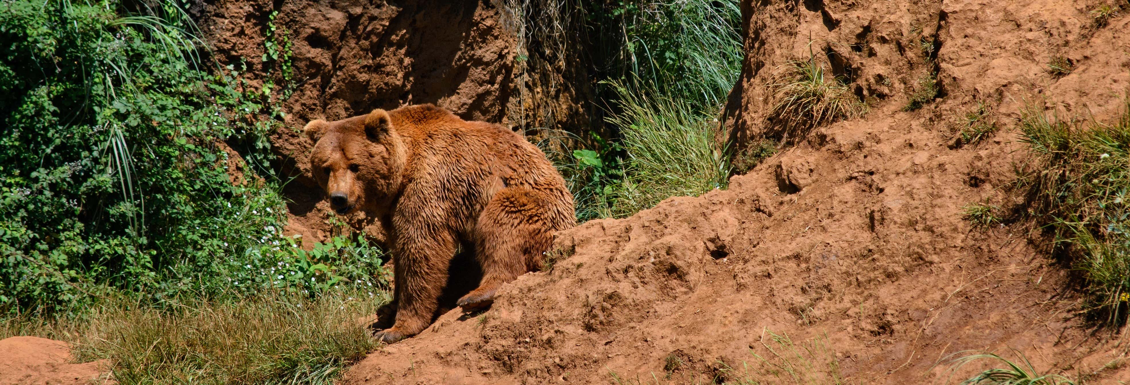 Cabarceno Nature Park Tour