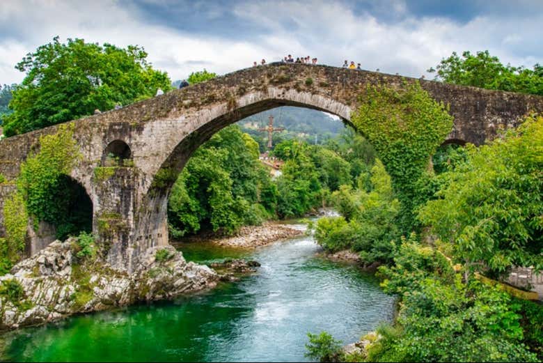 Imagen 6
