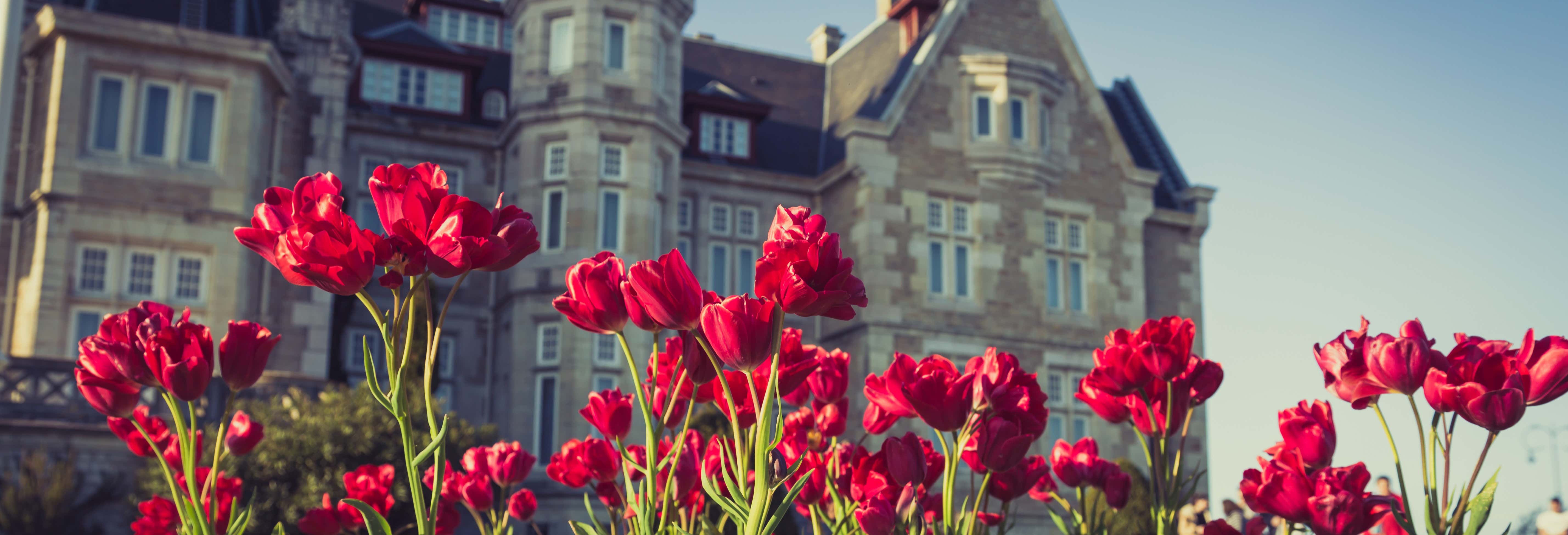 Visita guidata del Parco e del Palazzo della Magdalena