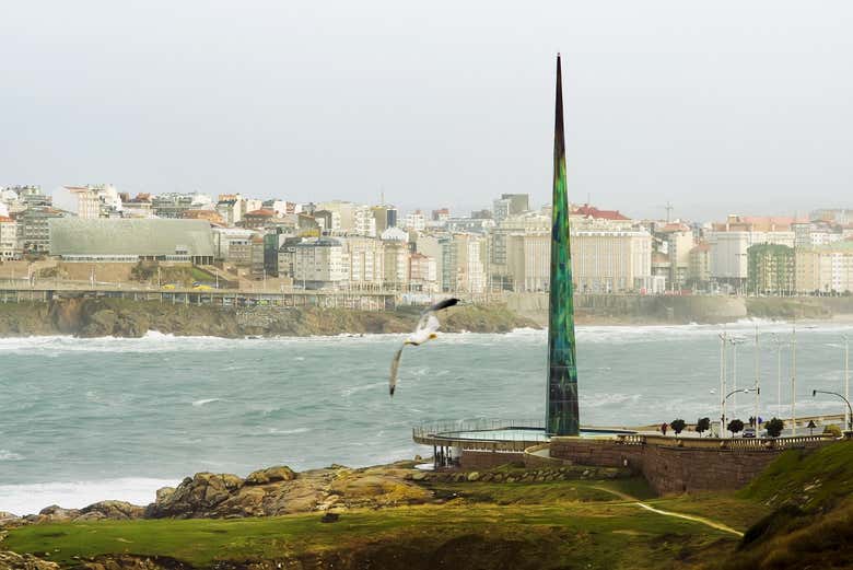 Imagen 5