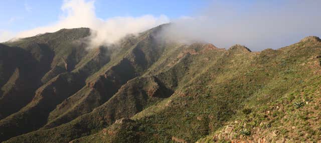 Trekking al Parque Rural de Teno